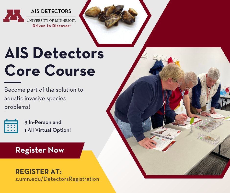 AIS Detectors