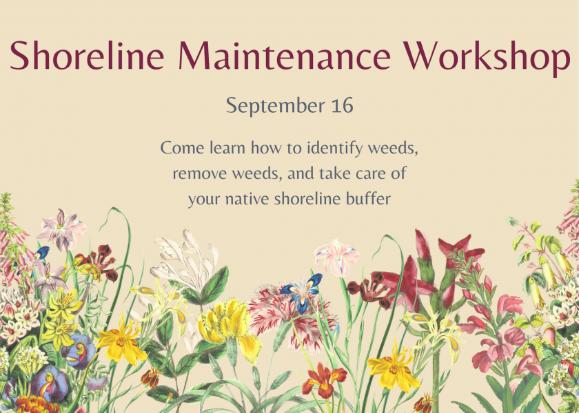 Shoreline_Maintenance_Workshop_flyer